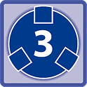 Type 3